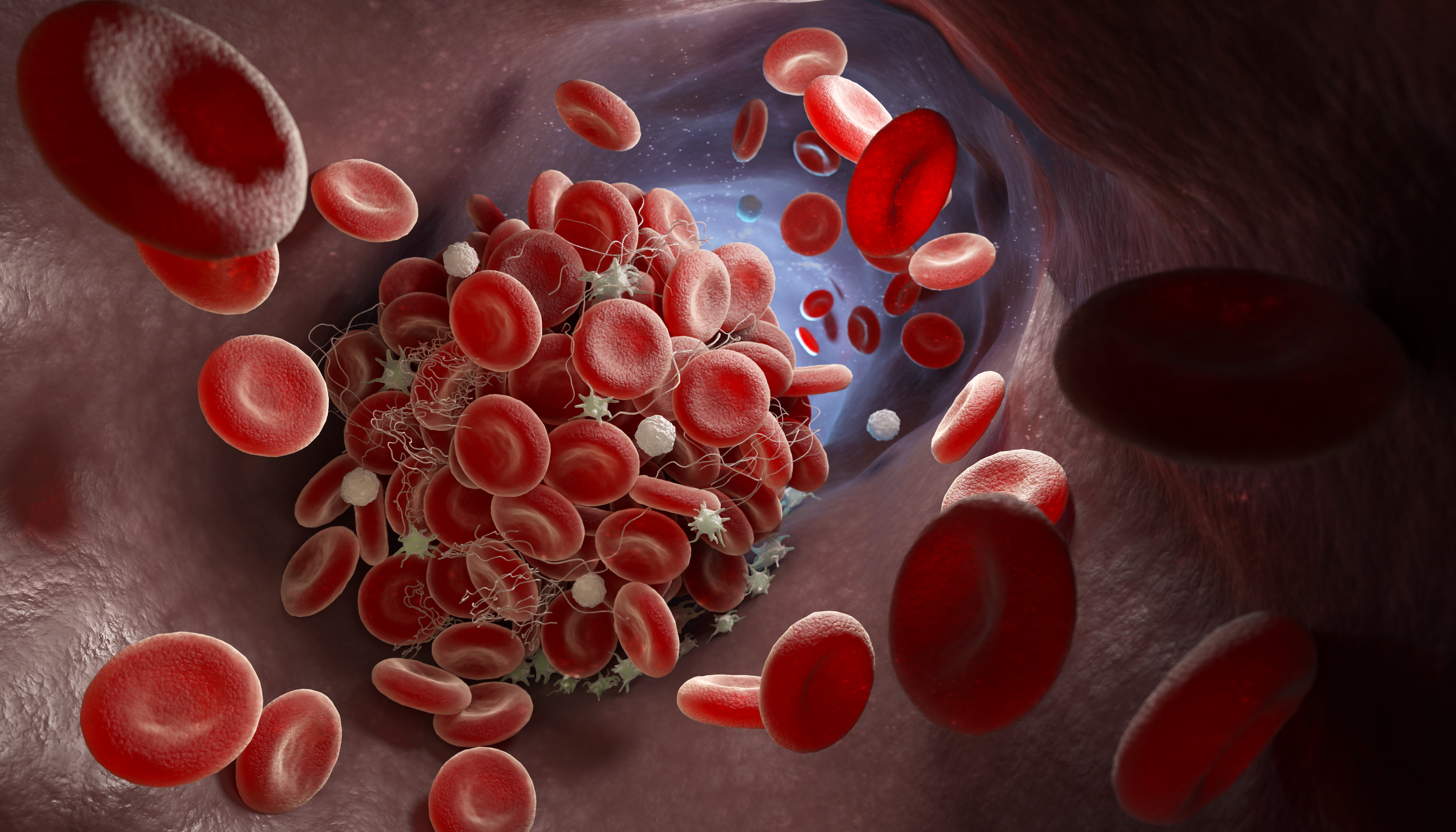 Novel factor VIIa chimeras for safer hemostasis