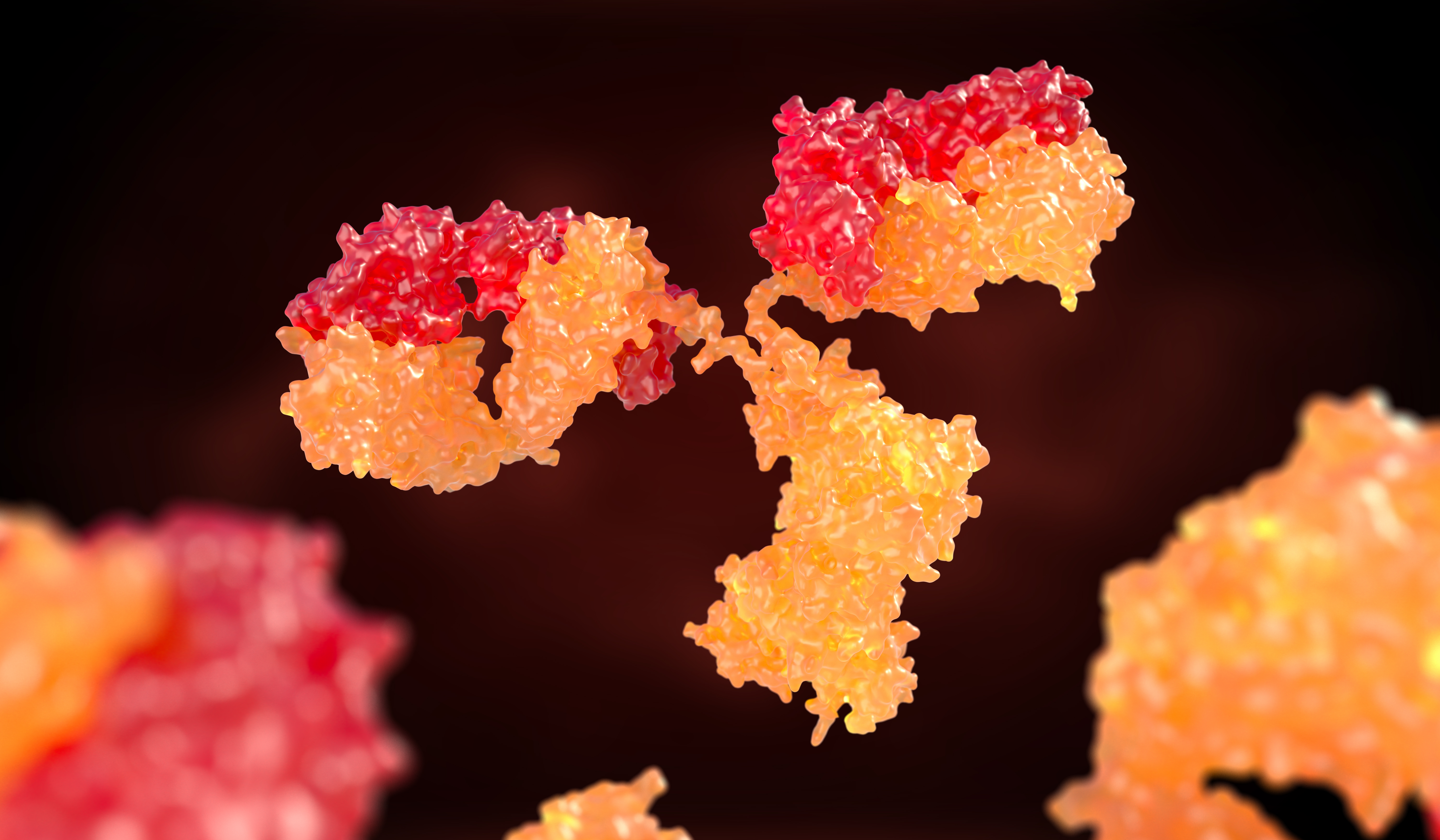 T-cell releasing antibody for breast cancer tumor metastasis prevention