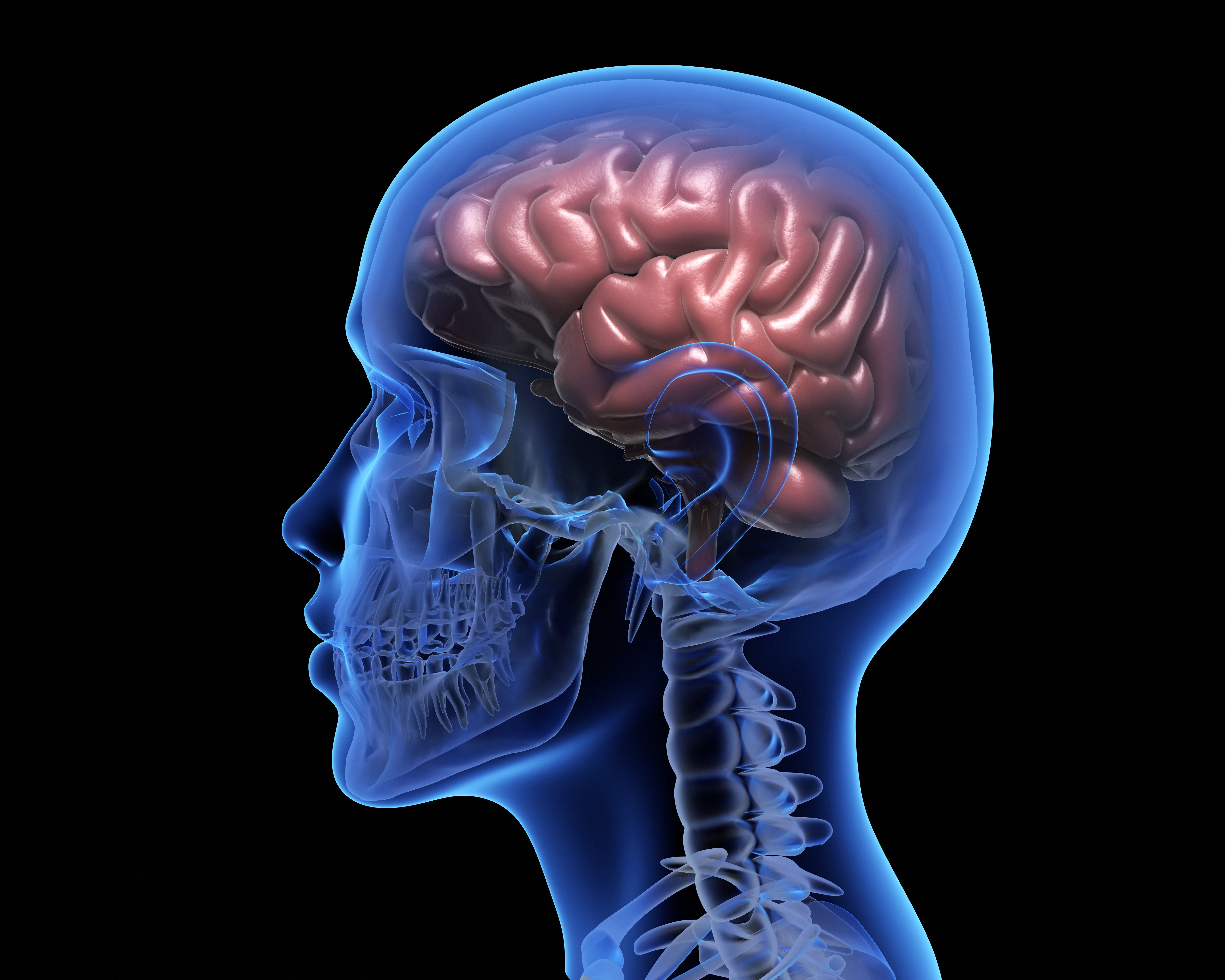 Human brain over black background,  3D illustration. Image source: Envato.