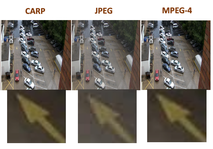 Comparison of CARP and JPEG