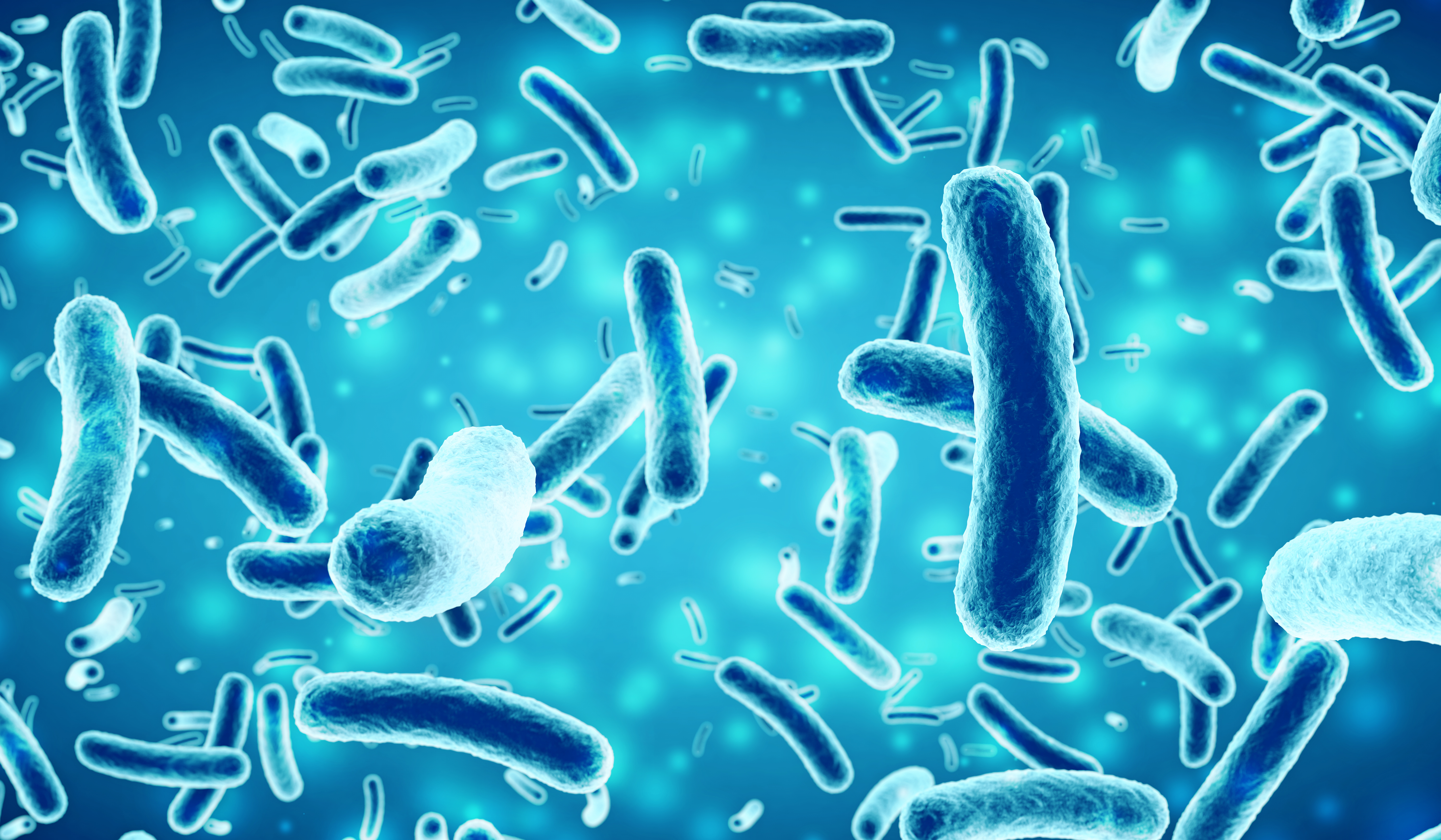 Artistic rendering of bacteria with blue background