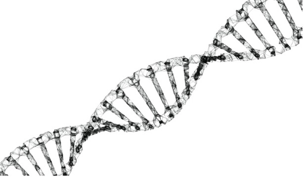 3D illustration of DNA in black and white