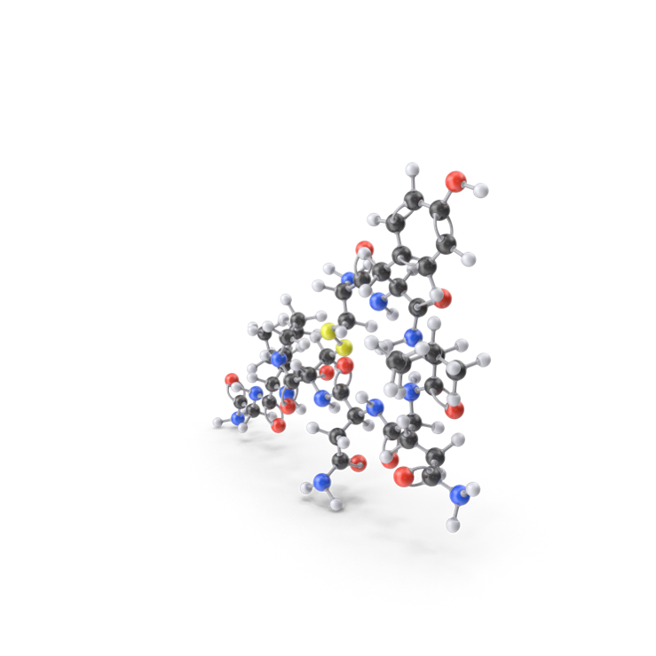 3D rendering of oxytocin molecule