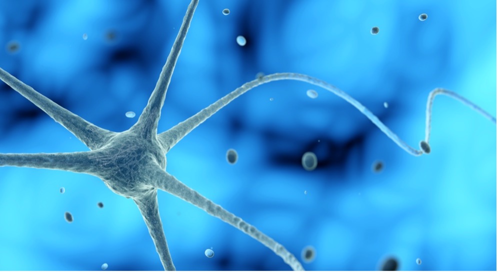 3D illustration of a nerve cell on a blue background