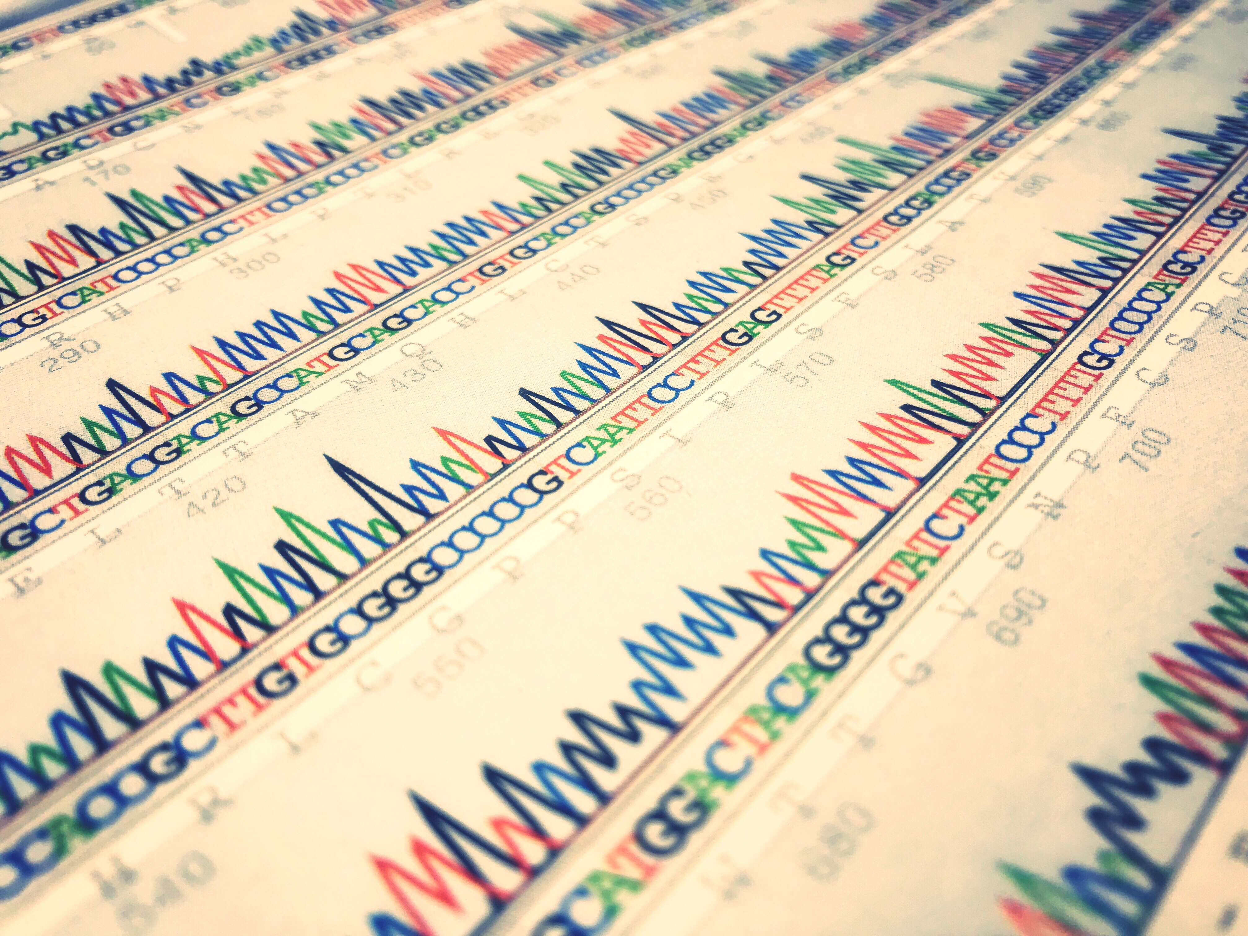 Data sheet of DNA sequences (Source: envato elements)