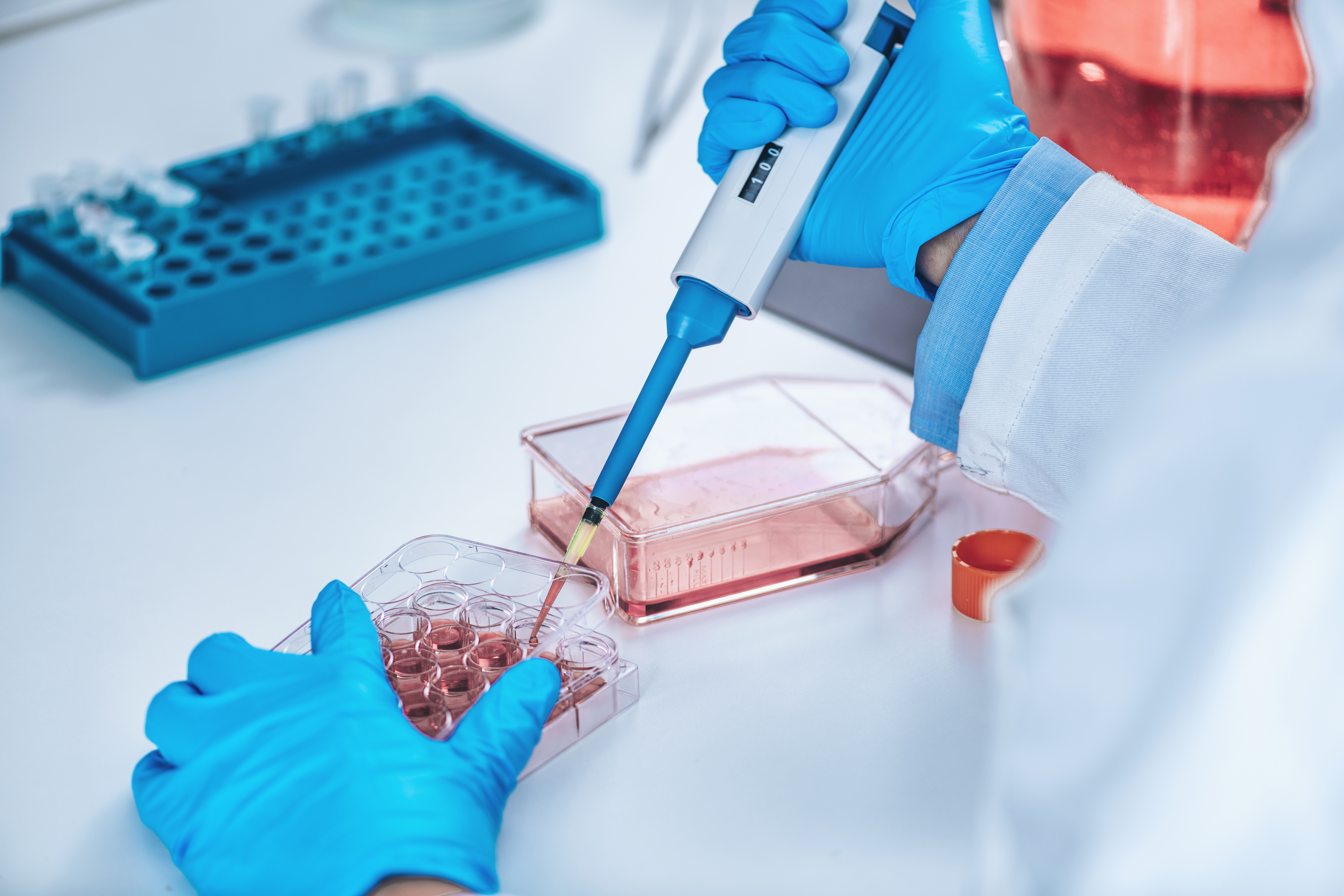 Researcher working with cell culture (source: Envato)