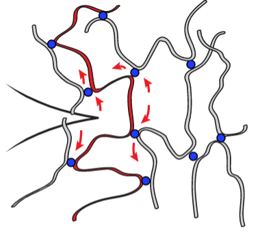 Illustration of weak crosslinker incorporation into polymer (source: inventor)