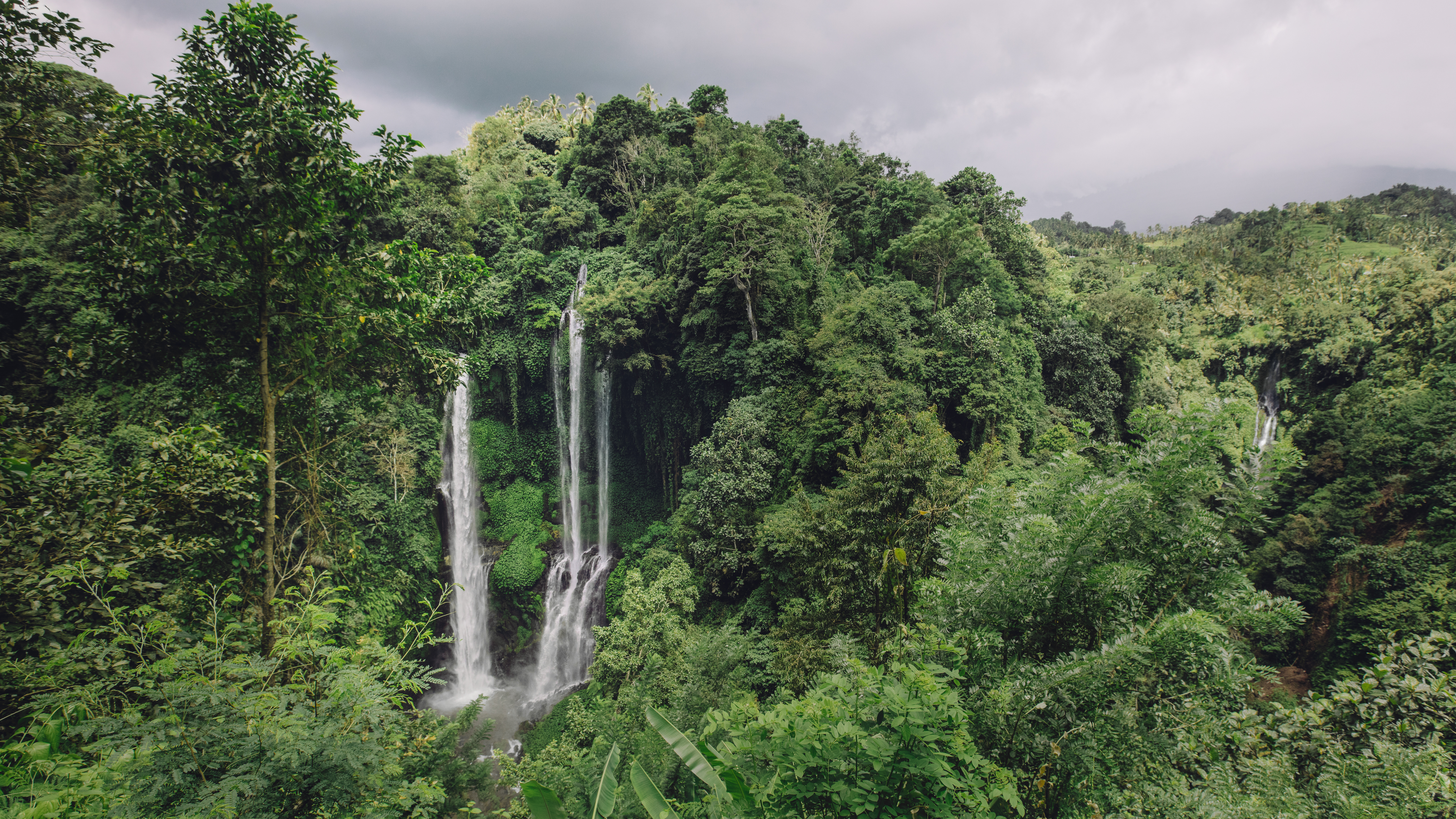 Dense trees and waterfall in tropical rainforest on an overcast day Source: envato